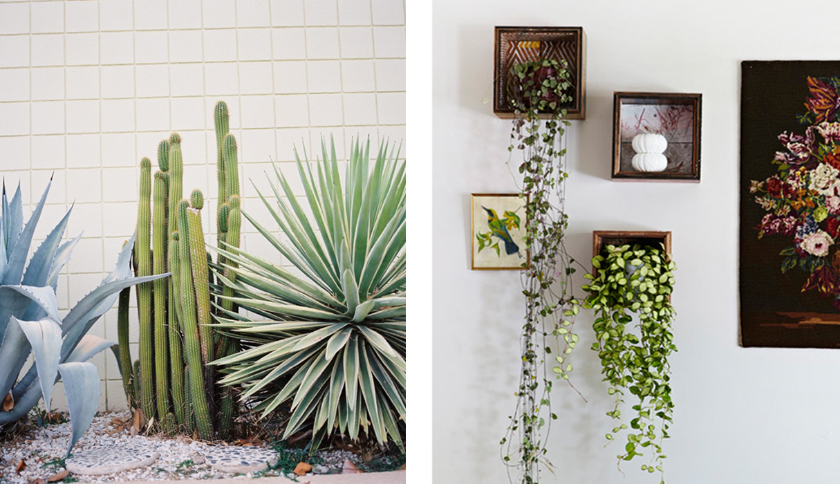 In/Out - PALETTE: Green Thumbs