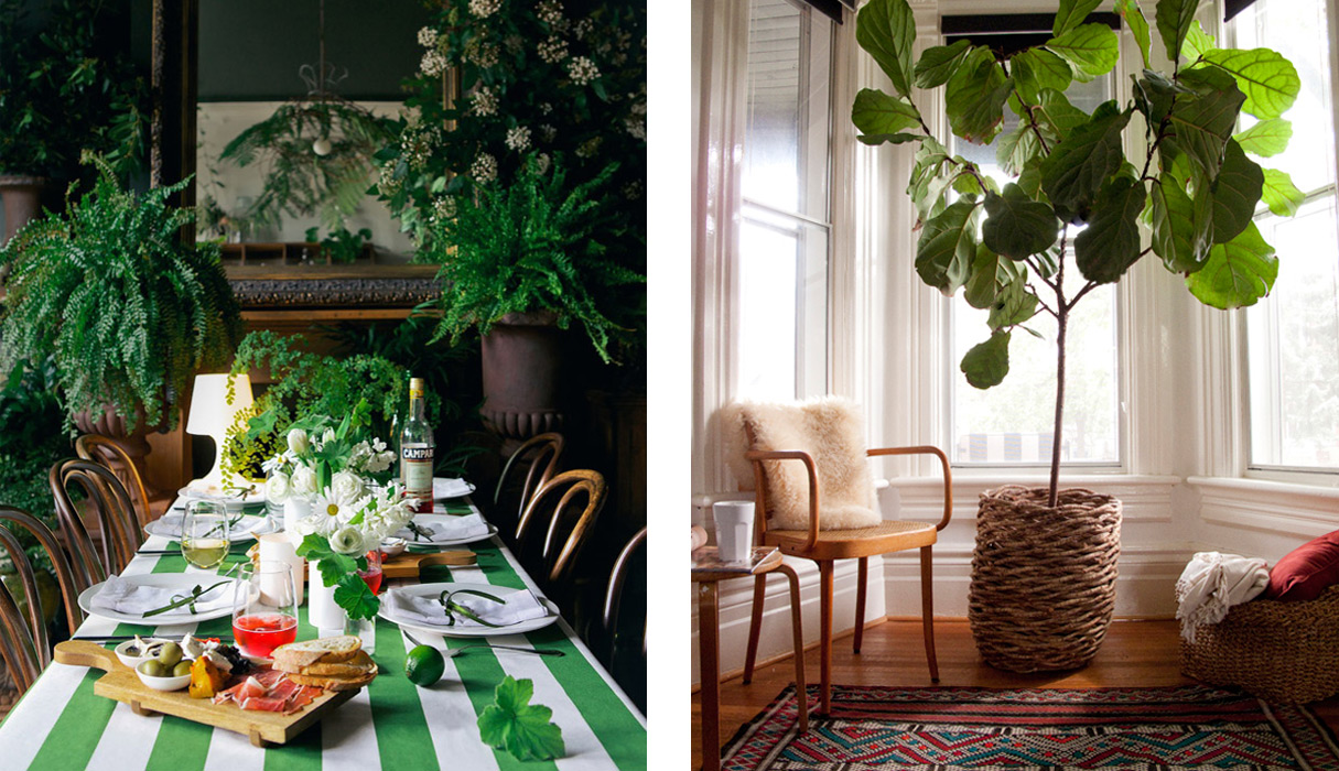 In/Out - PALETTE: Green Thumbs
