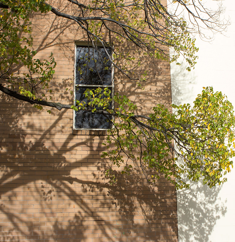 In/Out - Out/About: Melbourne Moments by Jill Schaeffer