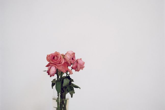 In/Out - Julia Schauenburg: 52 bunches of flowers I bought myself