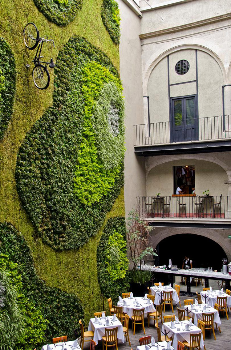In Out - OUT/ABOUT: Downtown Mexico