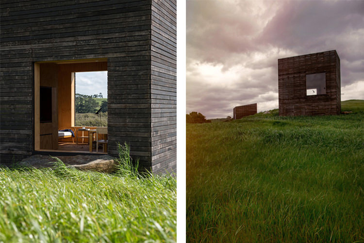 IN/OUT - NZ HOUSE OF THE YEAR