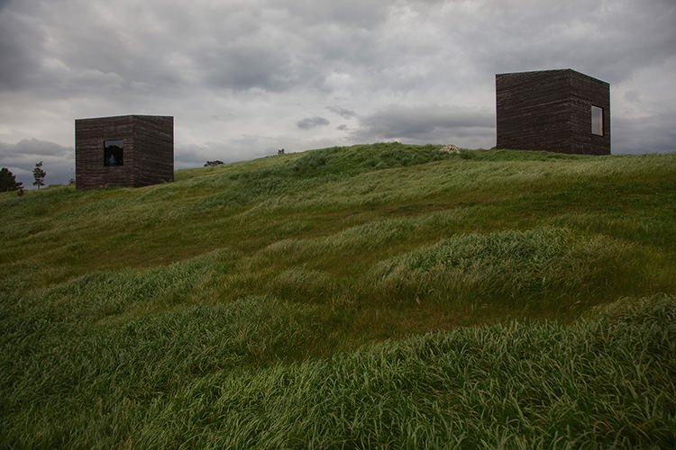 IN/OUT - NZ HOUSE OF THE YEAR