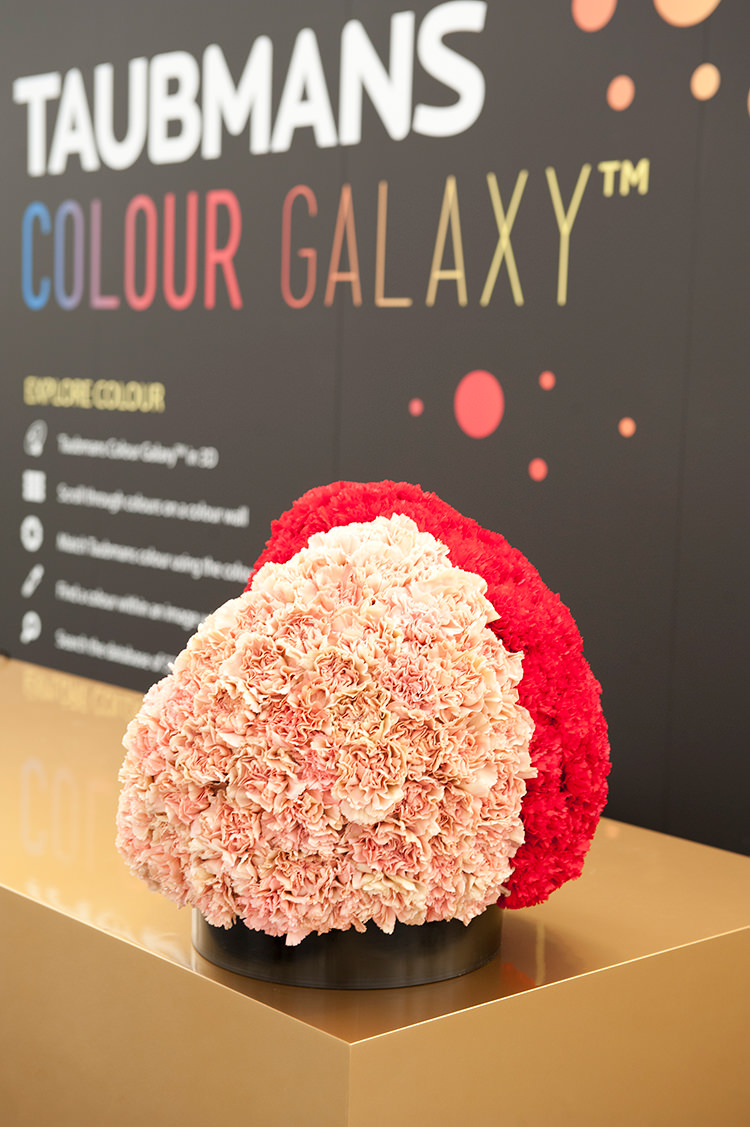 IN/OUT - COLOUR WEEK - EXPERIENCE COLOUR WITH TAUBMANS & ARENT&PYKE