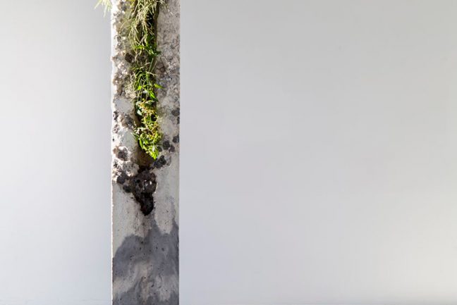 In/Out -Out/About: Jamie North 'Terraforms'