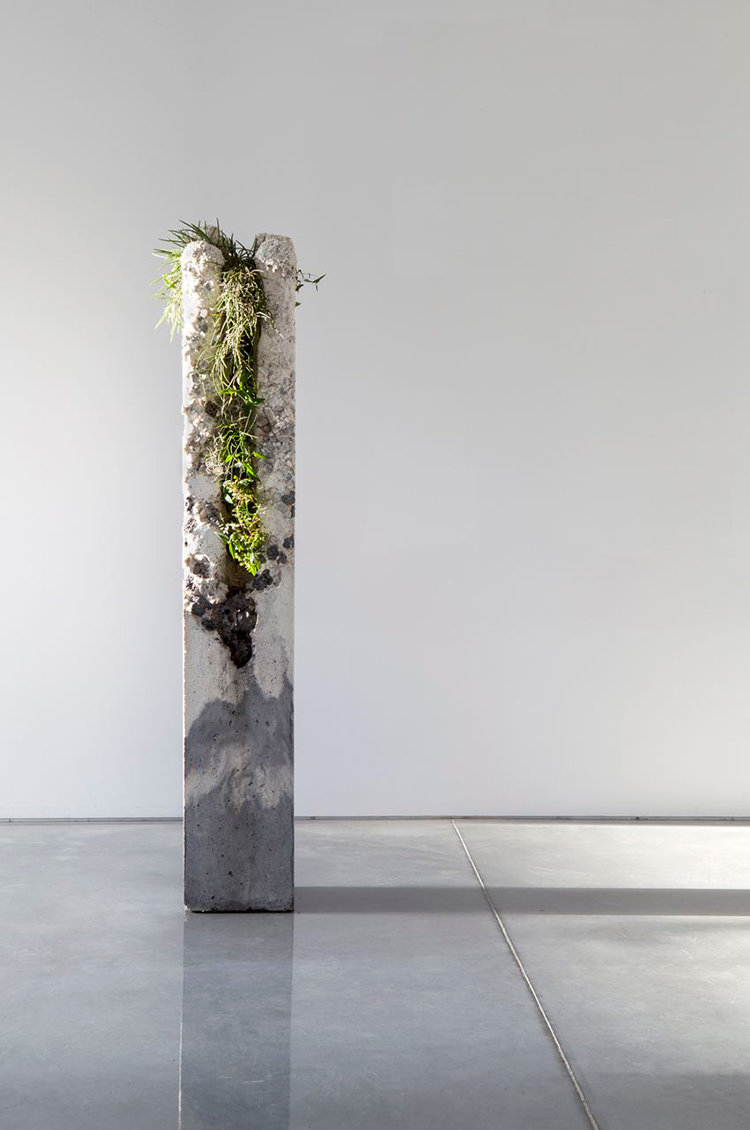 In/Out -Out/About: Jamie North 'Terraforms'