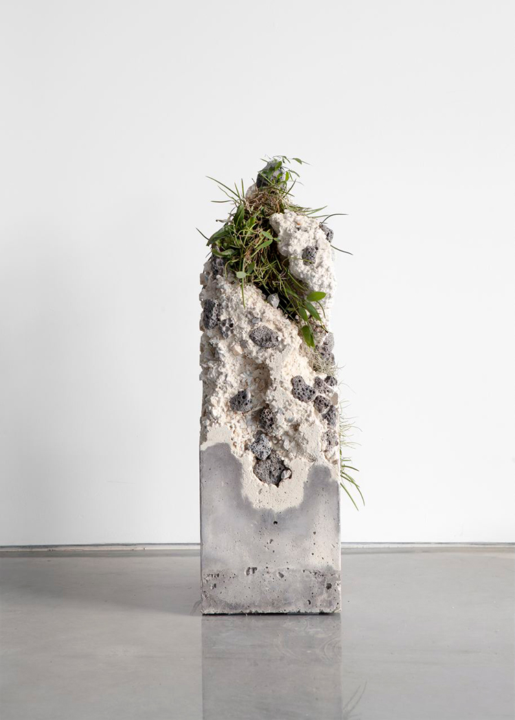 In/Out -Out/About: Jamie North 'Terraforms'