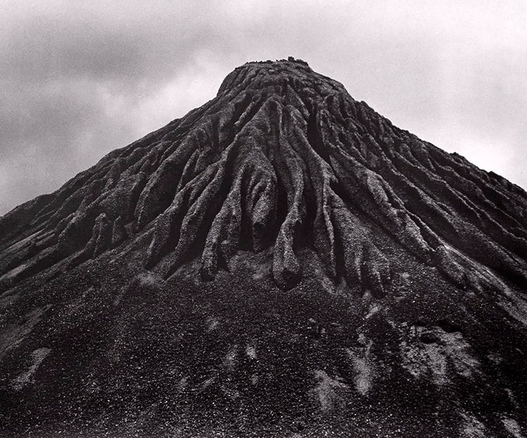 In/Out -Out/About: Jamie North 'Terraforms'