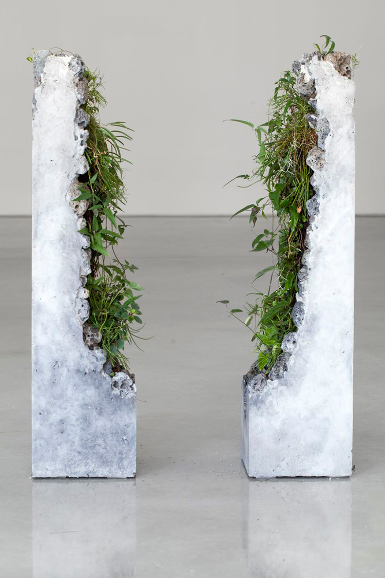 In/Out -Out/About: Jamie North 'Terraforms'