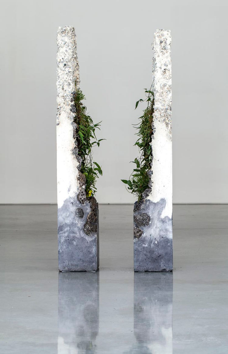 In/Out -Out/About: Jamie North 'Terraforms'