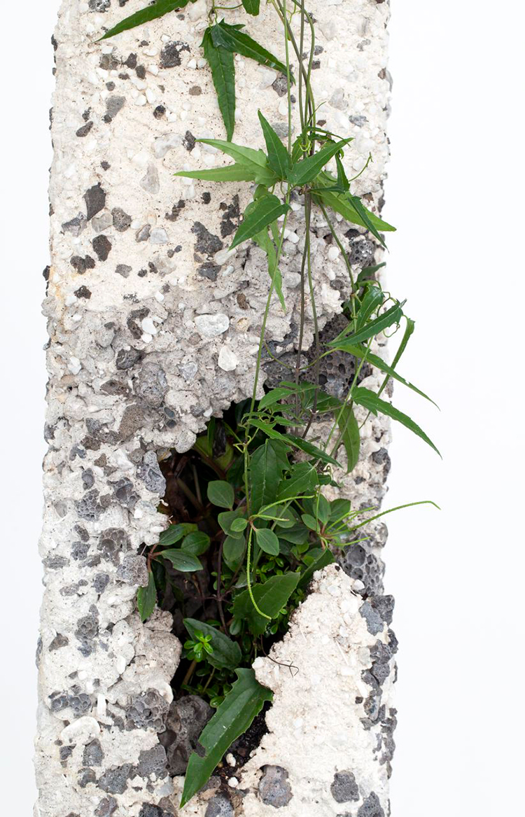 In/Out -Out/About: Jamie North 'Terraforms'