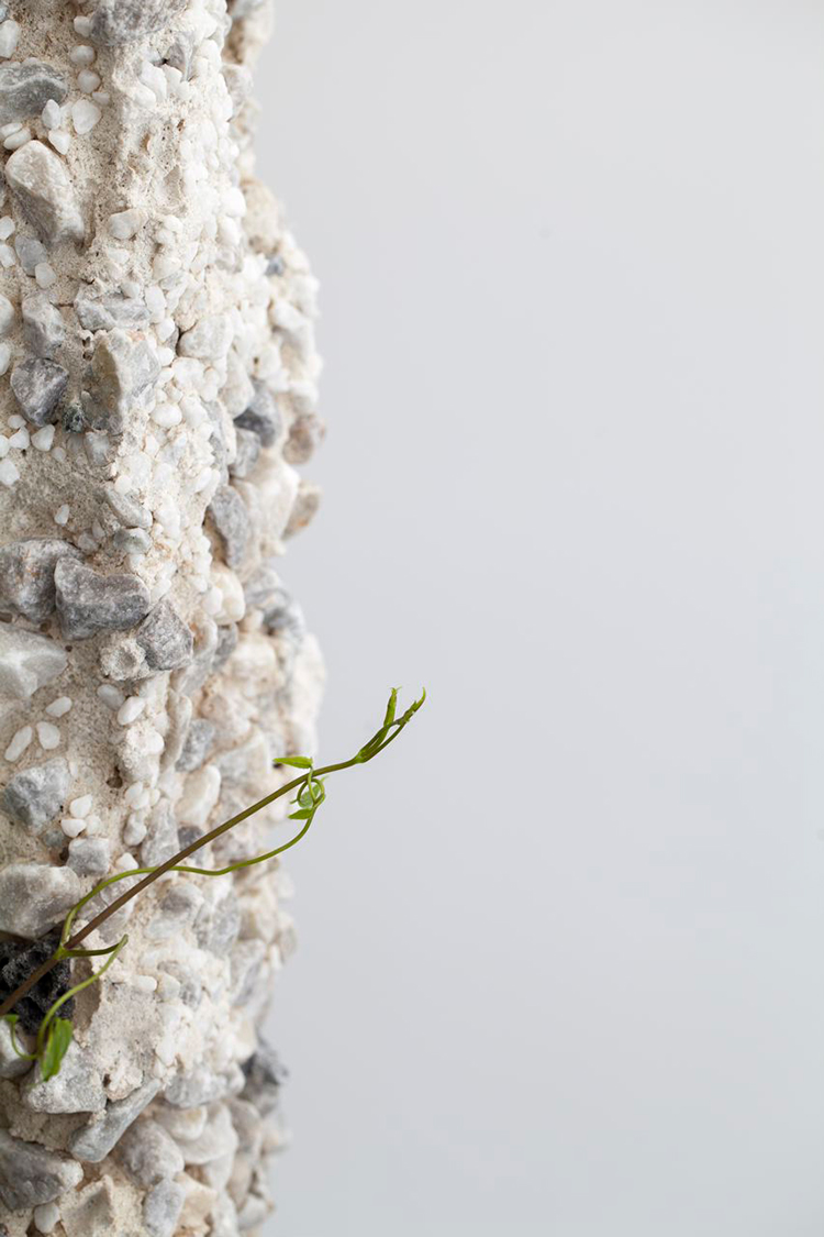 In/Out -Out/About: Jamie North 'Terraforms'