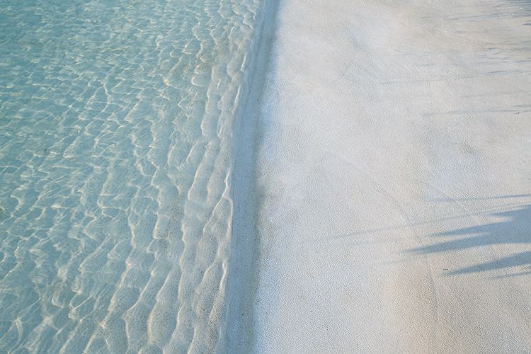 In/Out - Out/About: Casa No Tempo