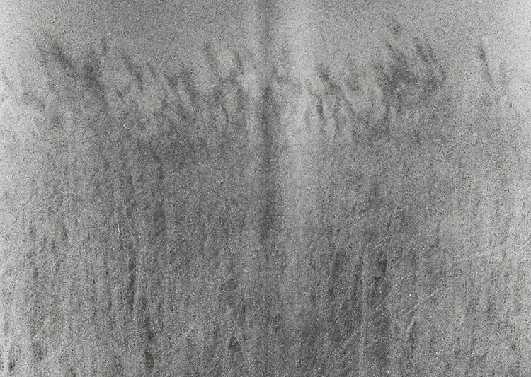 In/Out- Toino Abel