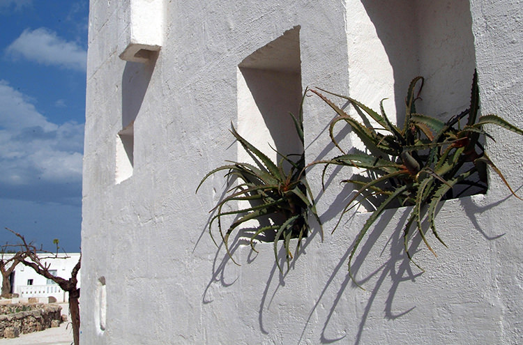 In/Out - OUT/ABOUT: Hotel Masseria Cimino