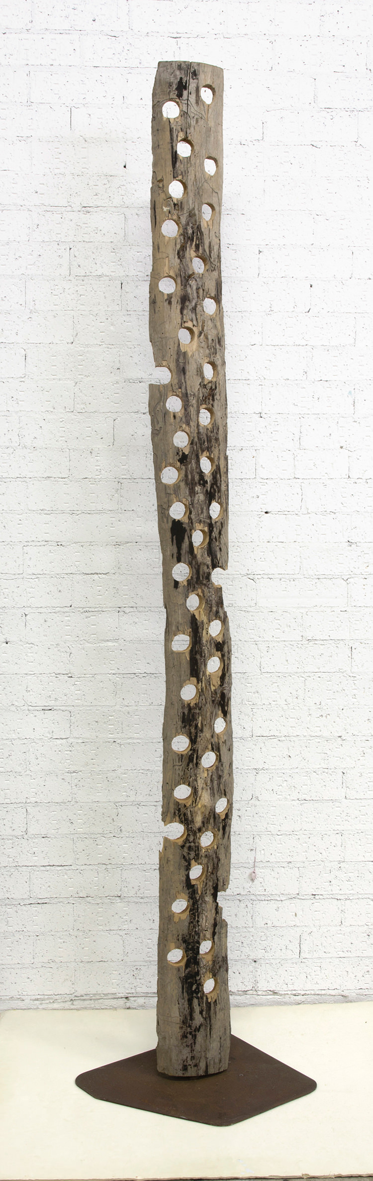 In/Out - OUT/ABOUT: Peter Sharp 'Eucalypt' 