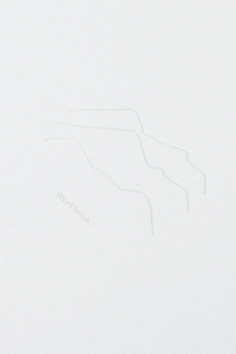 In/Out: Workbook - Marsha Golemac & Brooke Holm