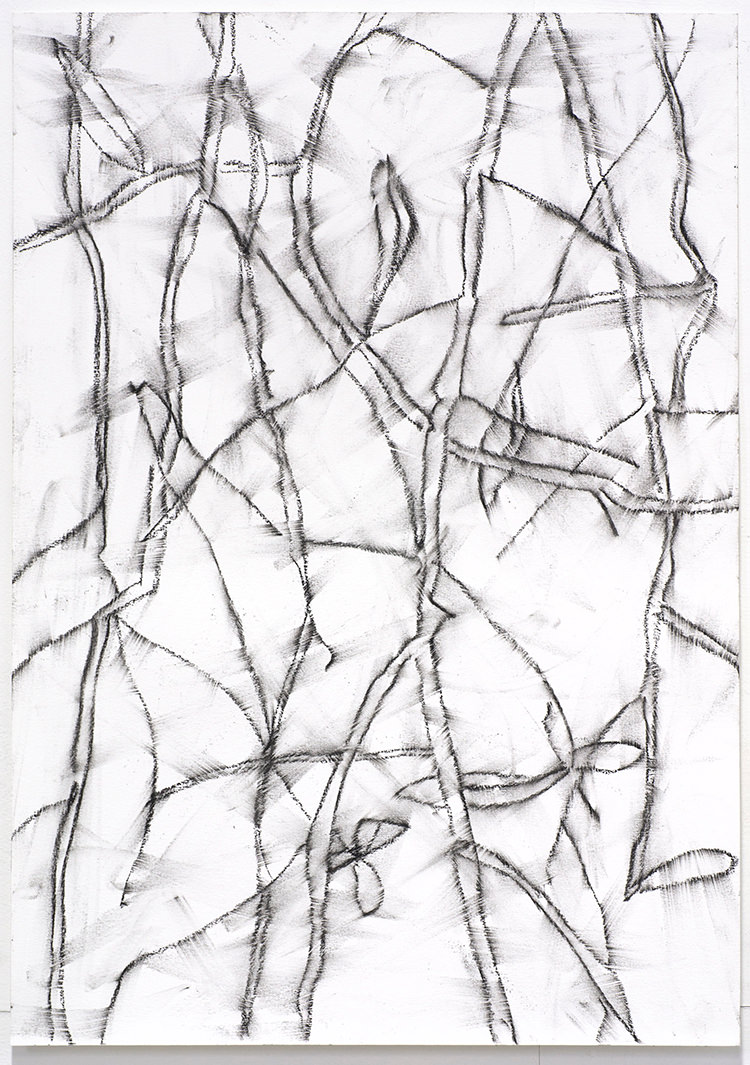 In/Out - OUT/ABOUT: Peter Sharp 'Eucalypt' 