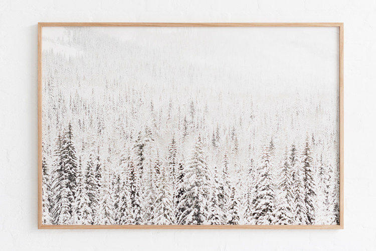In/Out: Workbook - Marsha Golemac & Brooke Holm