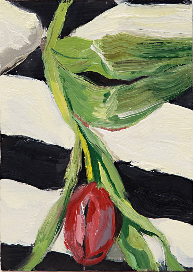 Out/About: Robert Malherbe and Prue Venables 'Gathered in Spring'