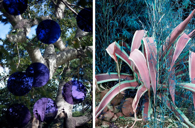  In/Out: Roxana Azar