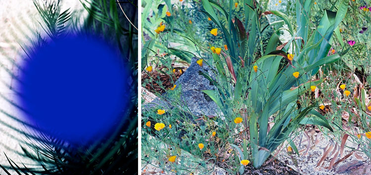  In/Out: Roxana Azar
