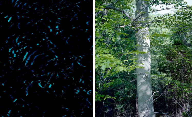 In/Out: Roxana Azar