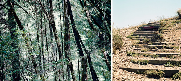  In/Out: Roxana Azar