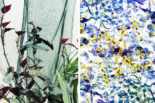 In/Out: Roxana Azar