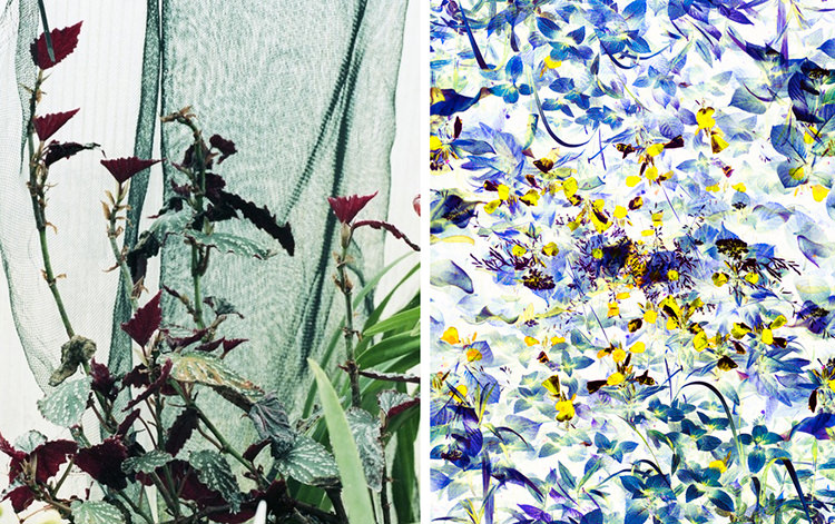 In/Out: Roxana Azar