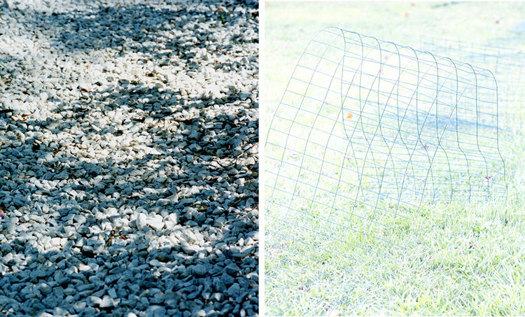  In/Out: Roxana Azar