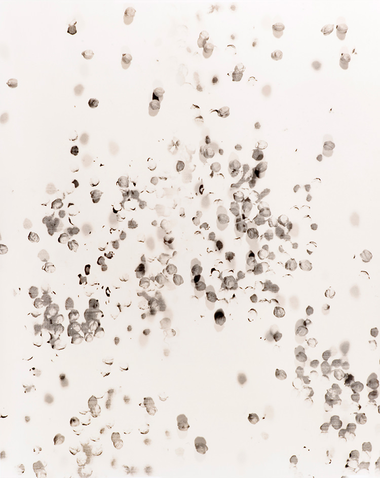 In/Out: Kate Robertson
