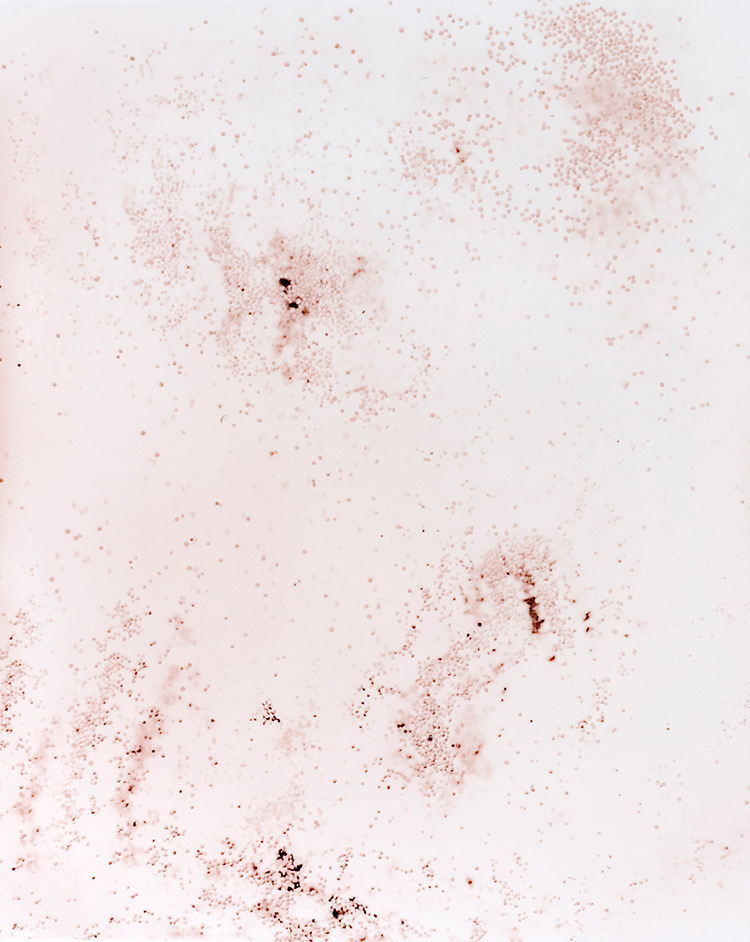 In/Out: Kate Robertson
