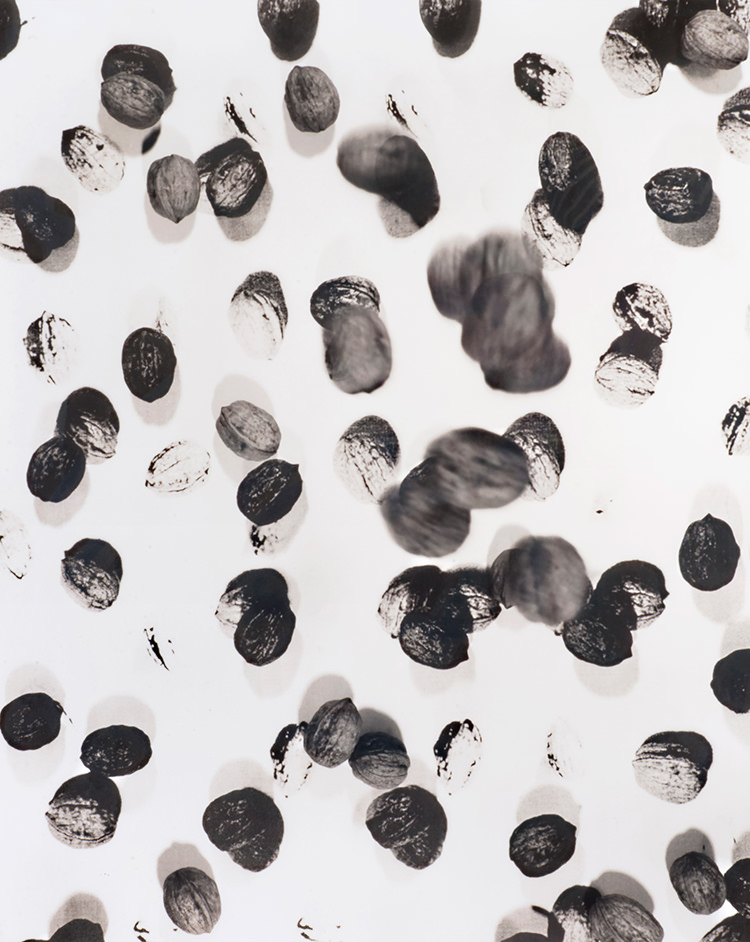 In/Out: Kate Robertson