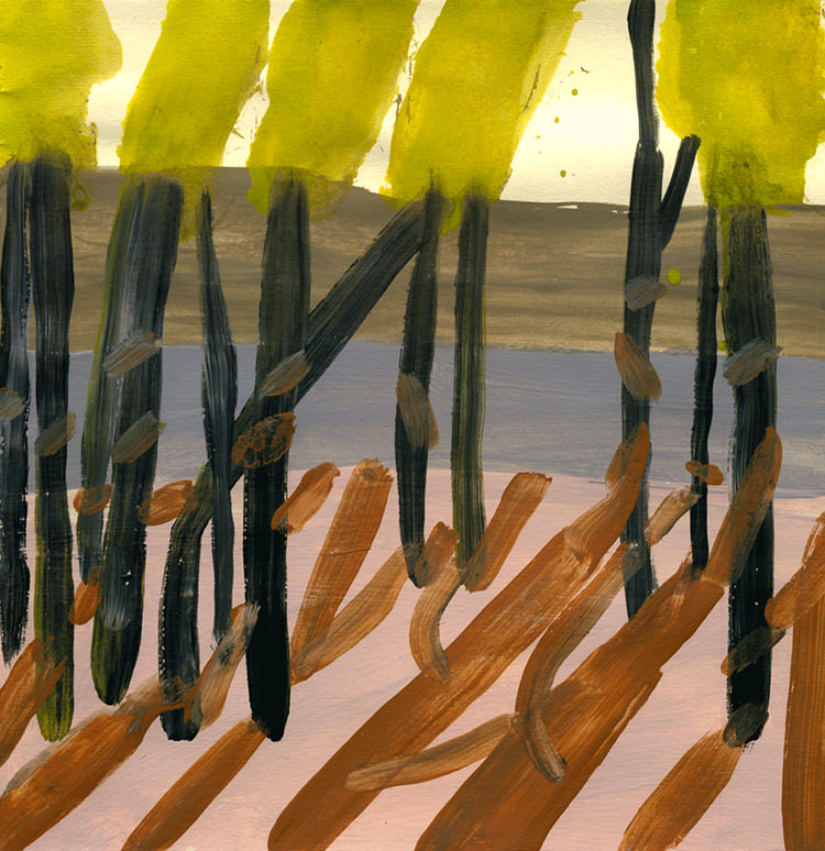 In/Out: 'Sunday Walks'  Leanne Shapton