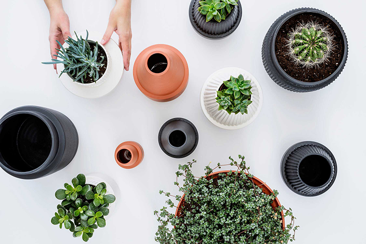 In/Out: Arizona Stoneware Collection