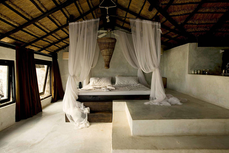 In/Out - OUT/ABOUT: Coqui Coqui Perfumery Yucatán