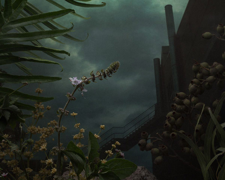 In/Out - OUT/ABOUT: Botanical Inquiry by Daniel Shipp