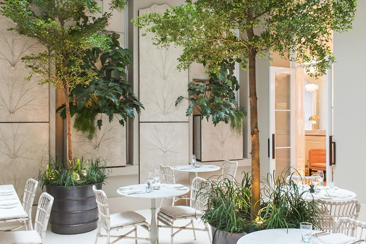 In/Out: SPRING RESTAURANT 