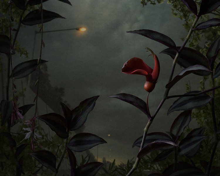In/Out - OUT/ABOUT: Botanical Inquiry by Daniel Shipp