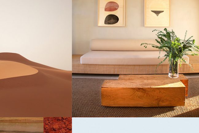 In/out: PALETTE: Clay & Earth