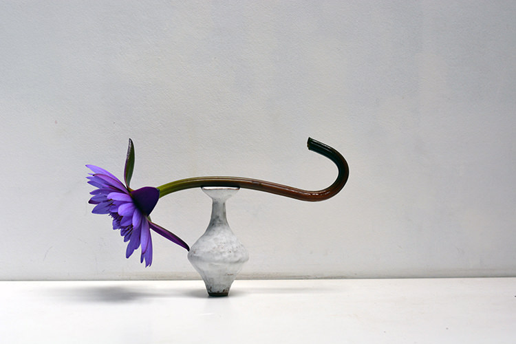 In/Out: Alana Wilson