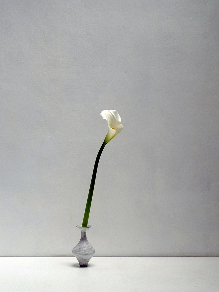 In/Out: Alana Wilson