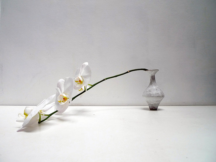 In/Out: Alana Wilson