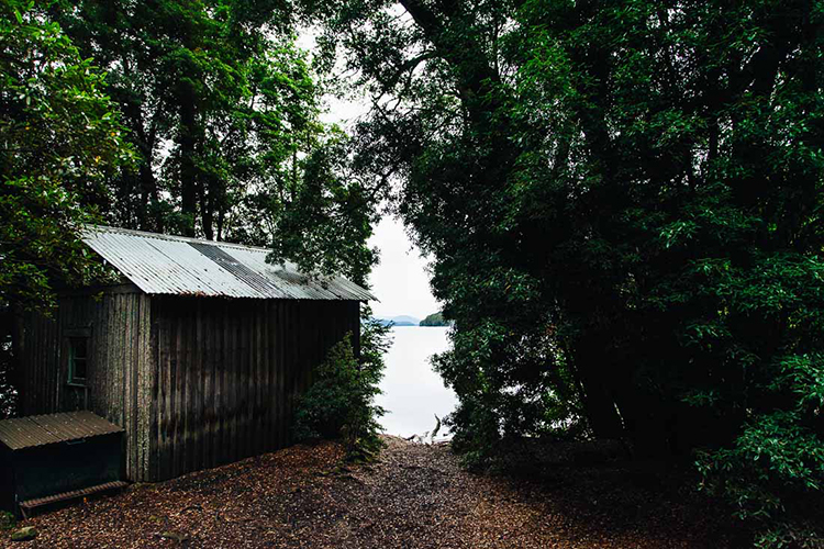 In/Out: PUMPHOUSE POINT