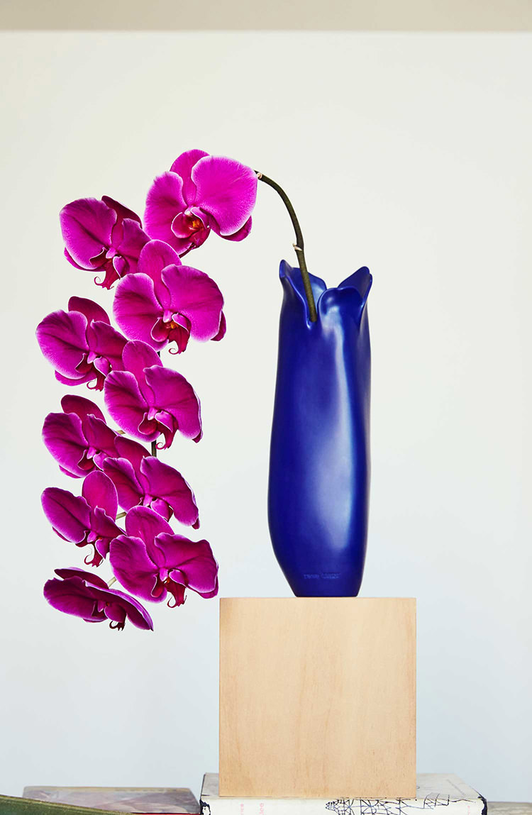 Dinosaur Designs 'Flower'