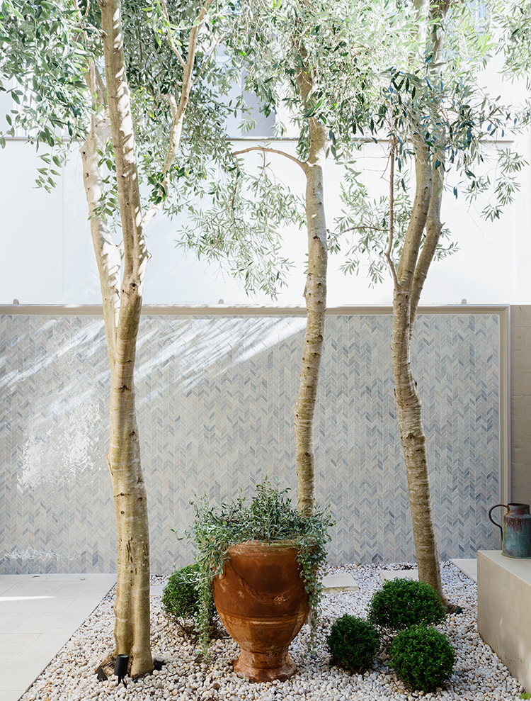 Figtree House by Arent&Pyke