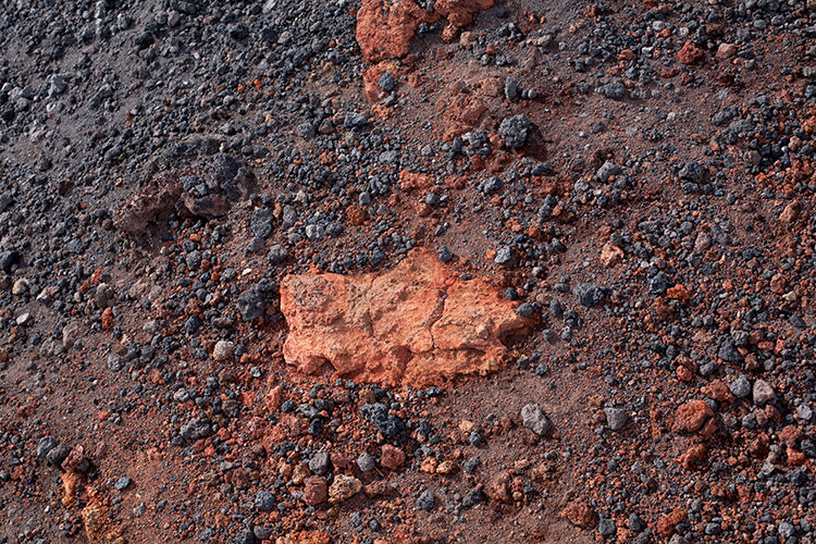 Out/About: Formafantasma at Parallels