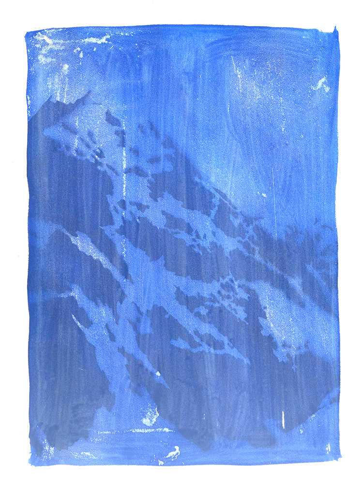Out/About: Paul Davies 'Other Desert Spaces'