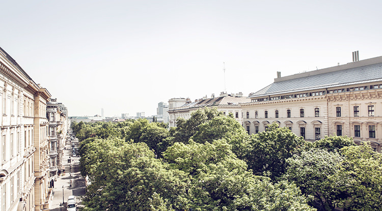 In/Out: Grand Ferdinand